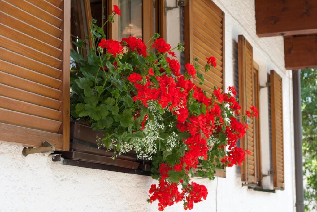 Haus Wendelin Apartment Fulpmes Bagian luar foto